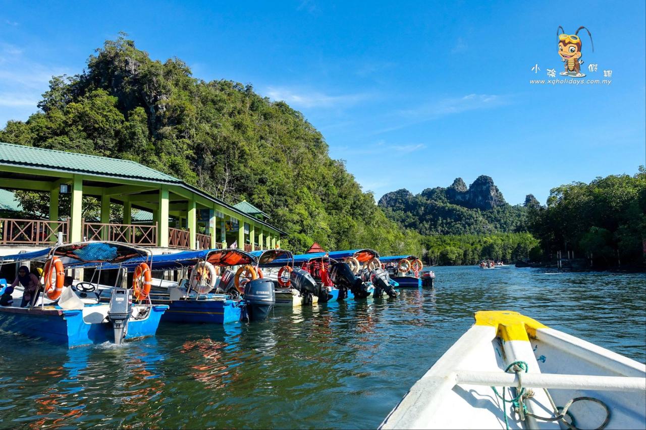 Mangrove langkawi kayaking adventure forest malaysia tours dev etabroad